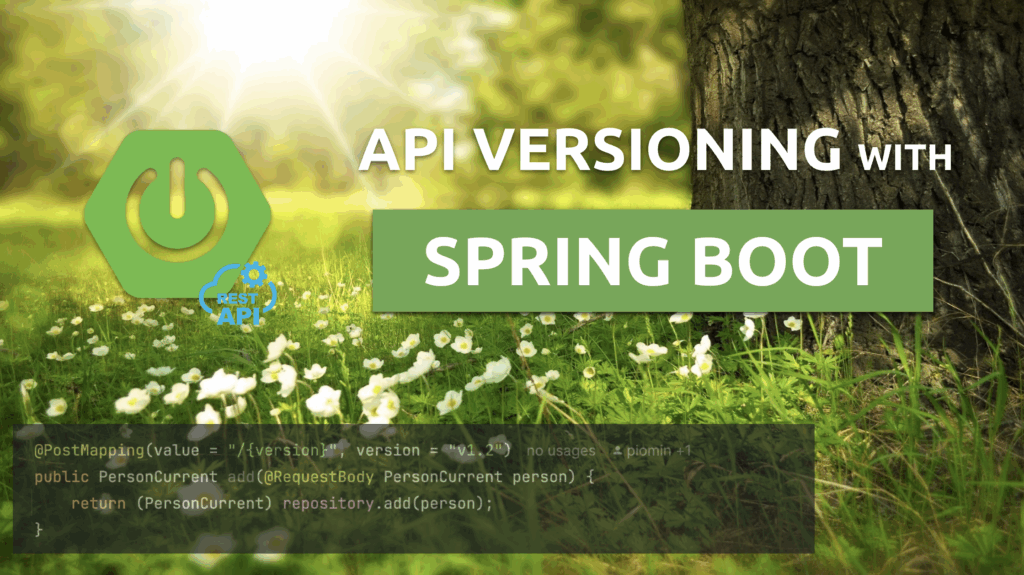 Spring Boot Built-in API Versioning Spring Boot Built-in API Versioning