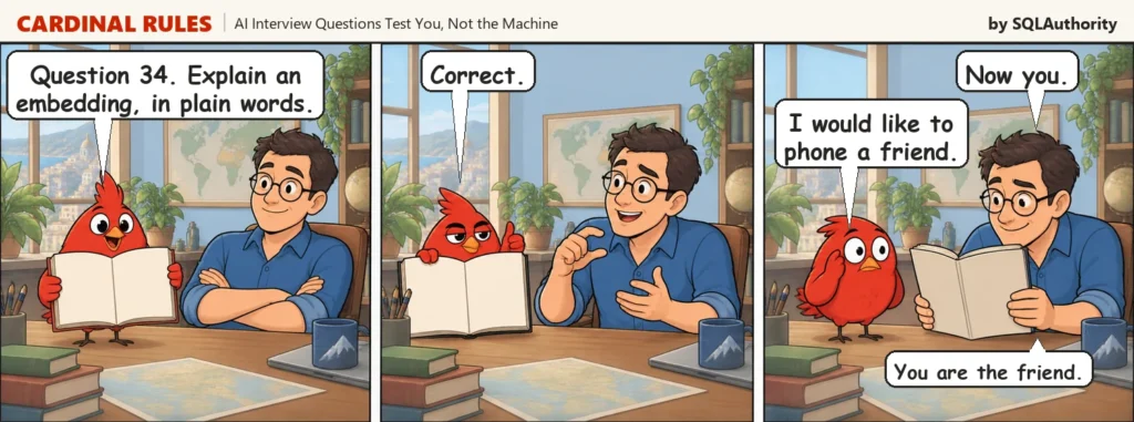 AI Interview Questions Test You, Not the Machine Three panel cartoon. The red bird holds an interview questions book and asks Sam to explain an embedding in plain words. Sam explains it and the bird says correct. Sam says now you, and the bird asks to phone a friend.